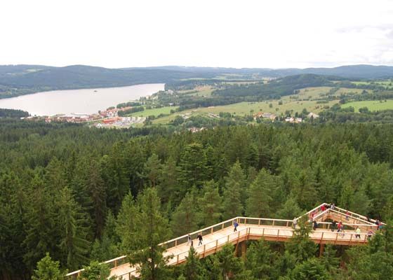 lipno